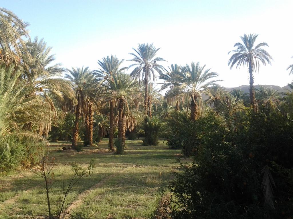 Kasbah Itrane Bed and Breakfast Tamnougalt Εξωτερικό φωτογραφία