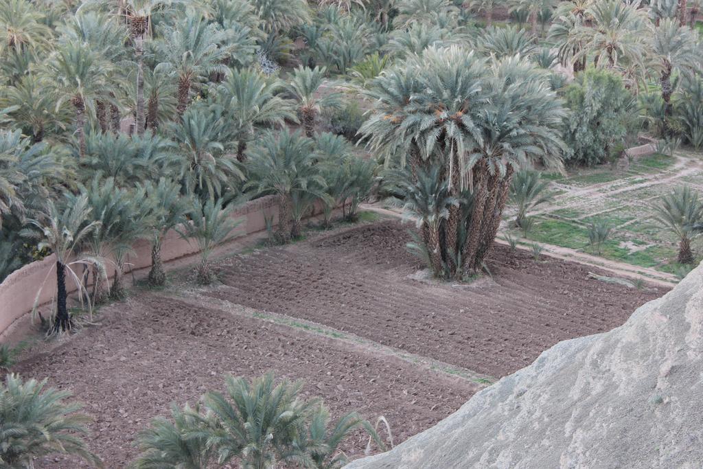 Kasbah Itrane Bed and Breakfast Tamnougalt Εξωτερικό φωτογραφία